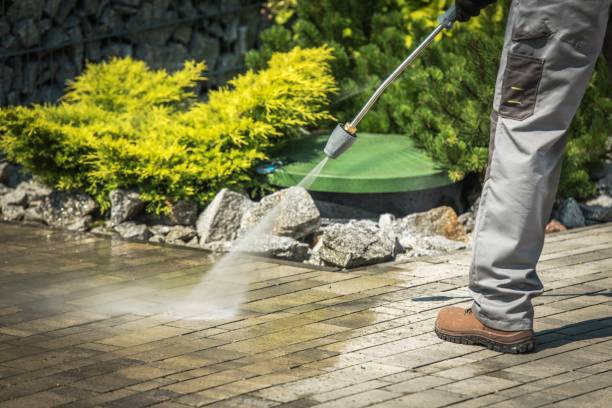Best Pool Deck Cleaning  in Walls, MS